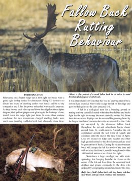Fallow Buck Rutting Behaviour  - page 60 Issue 38 (click the pic for an enlarged view)