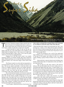 Super Sika - page 86 Issue 46 (click the pic for an enlarged view)