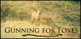 Gunning For Foxes - page 36 Issue 58 (click the pic for an enlarged view)