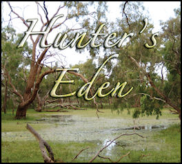 Hunters Eden - page 88 Issue 62 (click the pic for an enlarged view)