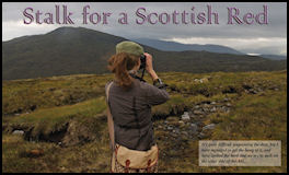 Stalk for a Scottish Red - page 58 Issue 66 (click the pic for an enlarged view)