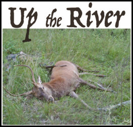 Up the River! (page 114) Issue 90 (click the pic for an enlarged view)
