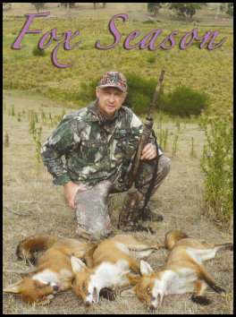 Fox Season (page 24) Issue 90 (click the pic for an enlarged view)