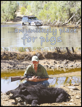 An Unlikely Place for Pigs (page 34) Issue 90 (click the pic for an enlarged view)