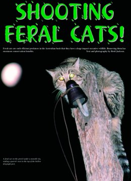 Shooting Feral Cats  - page 20 Issue 29 (click the pic for an enlarged view)