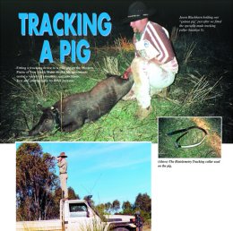 Tracking a Pig - page 46 Issue 29 (click the pic for an enlarged view)