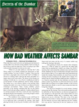 How Bad Weather Affects Sambar - page 60 Issue 37 (click the pic for an enlarged view)