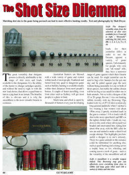 The Shot Selection Dilemma - page 66 Issue 45 (click the pic for an enlarged view)