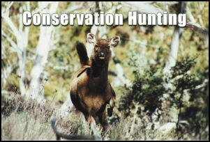 Conservation Hunting - page 66 Issue 53 (click the pic for an enlarged view)