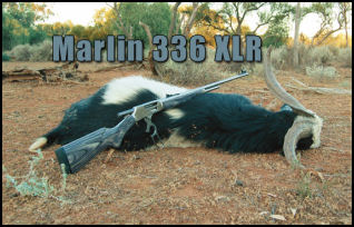 Marlin 336 XLR .30-30 - page 78 Issue 53 (click the pic for an enlarged view)