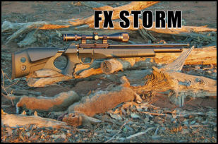 FX Storm .22 Air Rifle - page 92 Issue 53 (click the pic for an enlarged view)