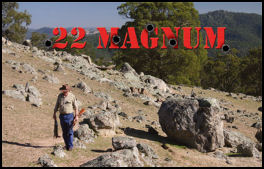 .22 Magnum  - page 56 Issue 57 (click the pic for an enlarged view)