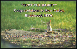 Previous 'Spot the Rabbit' - from Issues 59-60 - page 34 Issue 61