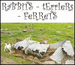 Rabbits - Ferrets  Terriers (page 22) Issue 89 (click the pic for an enlarged view)