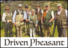 Driven Pheasant (page 96) Issue 89 (click the pic for an enlarged view)