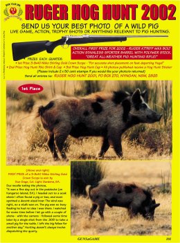 Ruger Hog Hunt 2002 - page 101 Issue 35 (click the pic for an enlarged view)