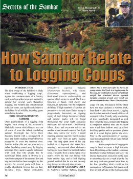Secrets of the Sambar - page 56 Issue 35 (click the pic for an enlarged view)