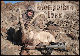Mongolian Ibex - page 108 Issue 63 (click the pic for an enlarged view)