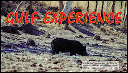 Gulf Experience - page 46 Issue 63 (click the pic for an enlarged view)