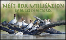 Nest Box Utilisation by Ducks in Victoria - page 50 Issue 75 (click the pic for an enlarged view)