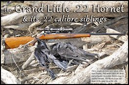 The  Grand Little .22 Hornet & its .22 Calibre Siblings (page 86) Issue 79 (click the pic for an enlarged view)