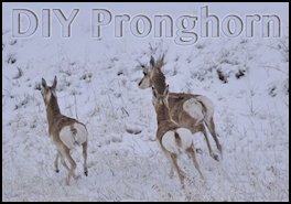 DIY Pronghorn (page 94) Issue 79 (click the pic for an enlarged view)