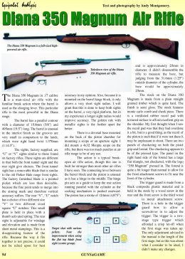 Diana 350 Magnum Air Rifle - page 94 Issue 32 (click the pic for an enlarged view)