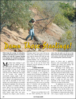 Damn Those Starlings! - page 38 Issue 48 (click the pic for an enlarged view)