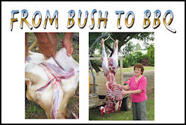 Bush to BBQ - page 52 Issue 60 (click the pic for an enlarged view)