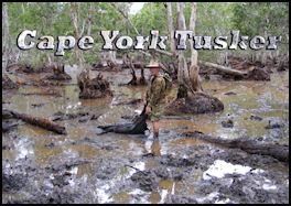 Cape York Tusker - page 58 Issue 60 (click the pic for an enlarged view)