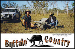 Buffalo Country - page 62 Issue 60 (click the pic for an enlarged view)