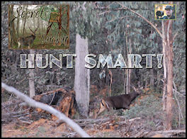 Secrets of the Sambar – Secrets of the Sambar - The Hunt Smart System - page 68 Issue 60 (click the pic for an enlarged view)