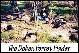 The Deben Ferret Finder - page 82 Issue 60 (click the pic for an enlarged view)