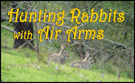 Hunting Rabbits with Air Arms - page 38 Issue 64 (click the pic for an enlarged view)