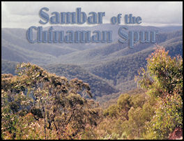 Sambar of the Chinaman Spur - page 86 Issue 64 (click the pic for an enlarged view)