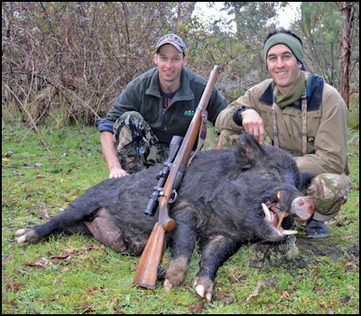 Hunting Hogzilla - page 36 Issue 76 (click the pic for an enlarged view)