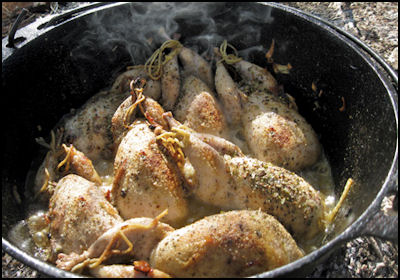 Grub in the Scrub - Roast Quail with Rice, Bacon & Parmesan Stuffing - page 46 Issue 76 (click the pic for an enlarged view)