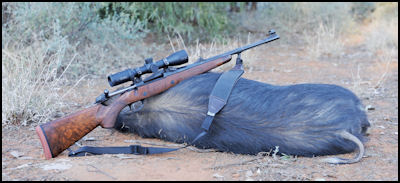 Sako 85 Grizzly - .30-06  by Breil Jackson - page 84 Issue 76 (click the pic for an enlarged view)