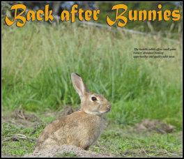 >Back after bunnies (page 24) Issue 88 (click the pic for an enlarged view)