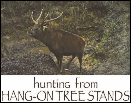 Hunting from Treestands (page 26) Issue 92 (click the pic for an enlarged view)