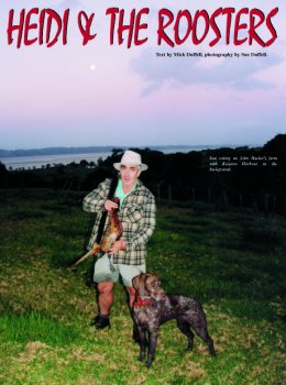 Heidi and the Roosters - page 70 Issue 30 (click the pic for an enlarged view)