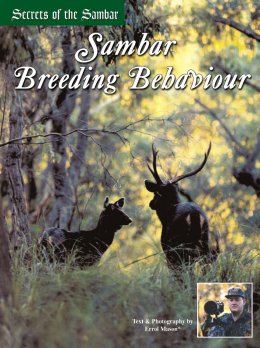 Secrets of the Sambar - Sambar Breeding Behaviour - page 76 Issue 42 (click the pic for an enlarged view)