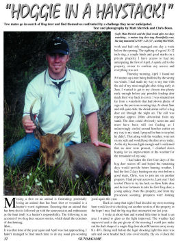 Hoggie in a Haystack - page 32 Issue 46 (click the pic for an enlarged view)