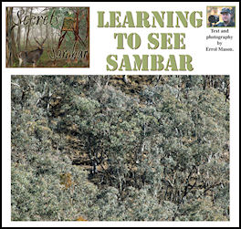 Secrets of the Sambar � Learning to See Sambar - page 62 Issue 62 (click the pic for an enlarged view)