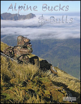 Alpine Buck and Bulls - page 82 Issue 66 (click the pic for an enlarged view)