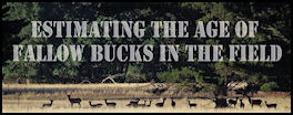 Estimating the Age of Fallow in the Field - page 86 Issue 66 (click the pic for an enlarged view)