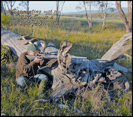 Varminting with the .220 Swift and .22-250 Ackley Improved - page 108 Issue 74 (click the pic for an enlarged view)