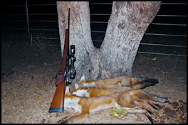 Zeiss Duralyt Hunting Scopes - page 122 Issue 74 (click the pic for an enlarged view)