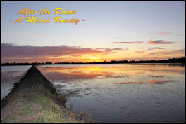 After the rains � A mixed Bounty - page 32 Issue 74 (click the pic for an enlarged view)