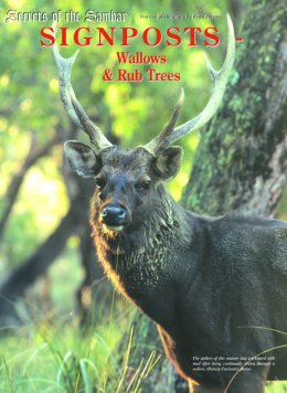 Secrets of the Sambar - page 66 Issue 29 (click the pic for an enlarged view)